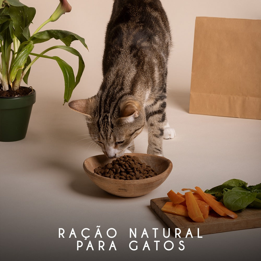 Ração Natural para Gatos