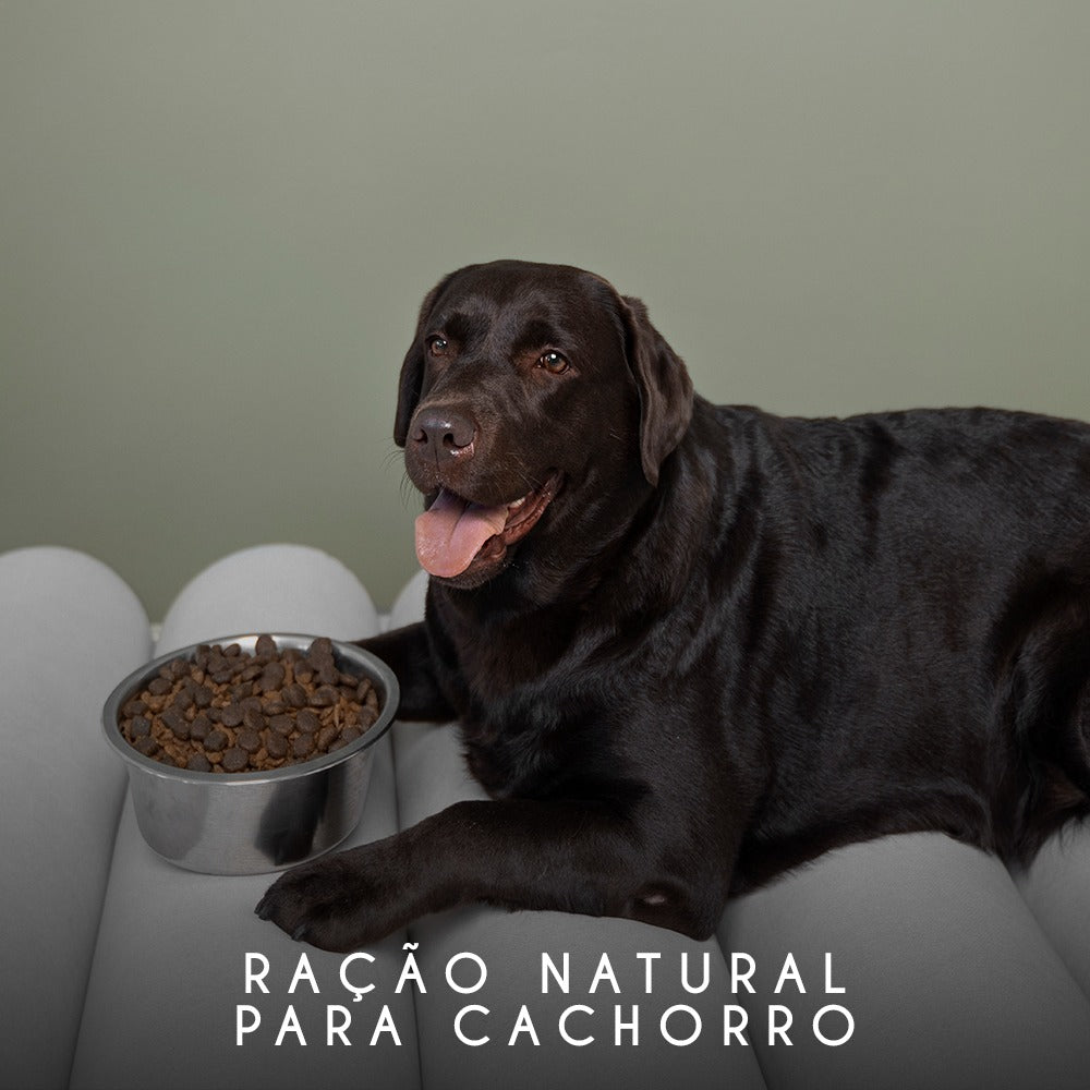 Ração Natural para Cachorro