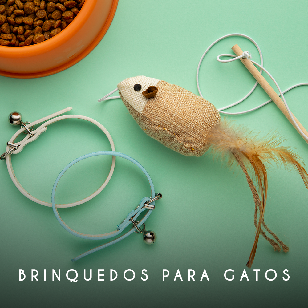 Brinquedos para Gatos