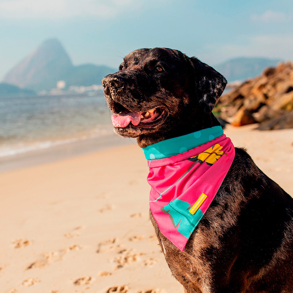 Bandana para Cachorro de Material Sustentável Olivia