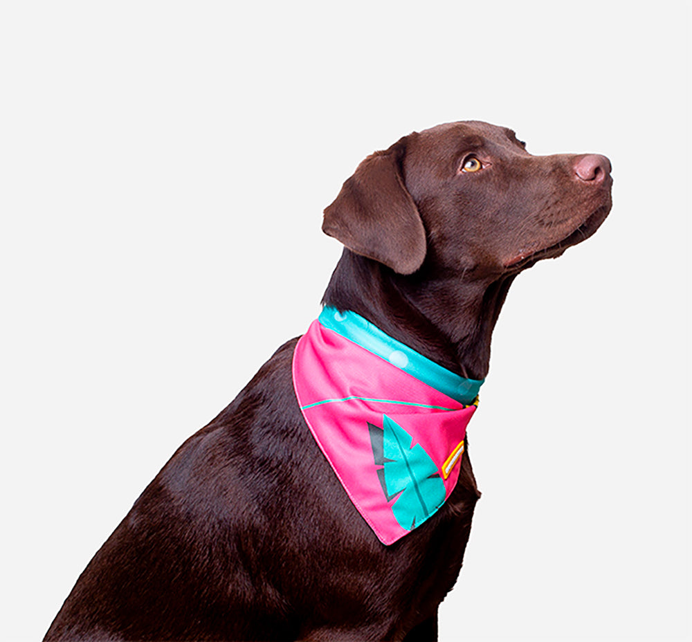 Bandana para Cachorro de Material Sustentável Olivia